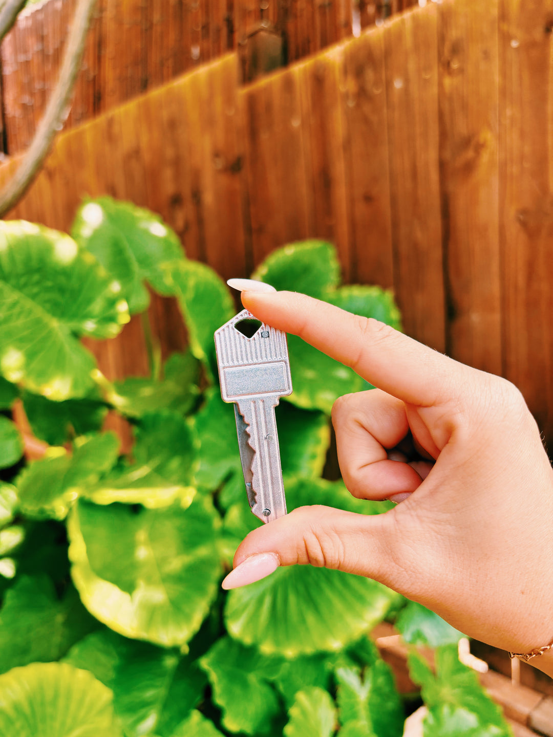 Key knife